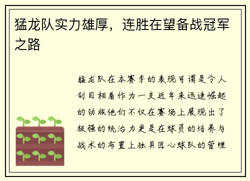 猛龙队实力雄厚，连胜在望备战冠军之路