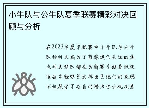 小牛队与公牛队夏季联赛精彩对决回顾与分析
